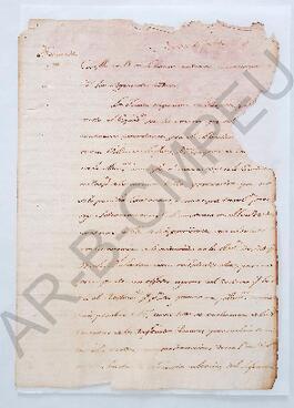 [Nota al Cabildo de la Villa de Luján sobre las cuentas de propios] 1794