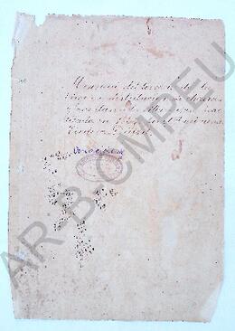 [Copia] Mensura del Terreno de la Virgen y distribución de chacras y quintas en la Villa Luján practicada en 1864.