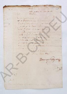 [Nota al Ayuntamiento de la Villa de Luján, firmada por Domingo Reynoso] 1806